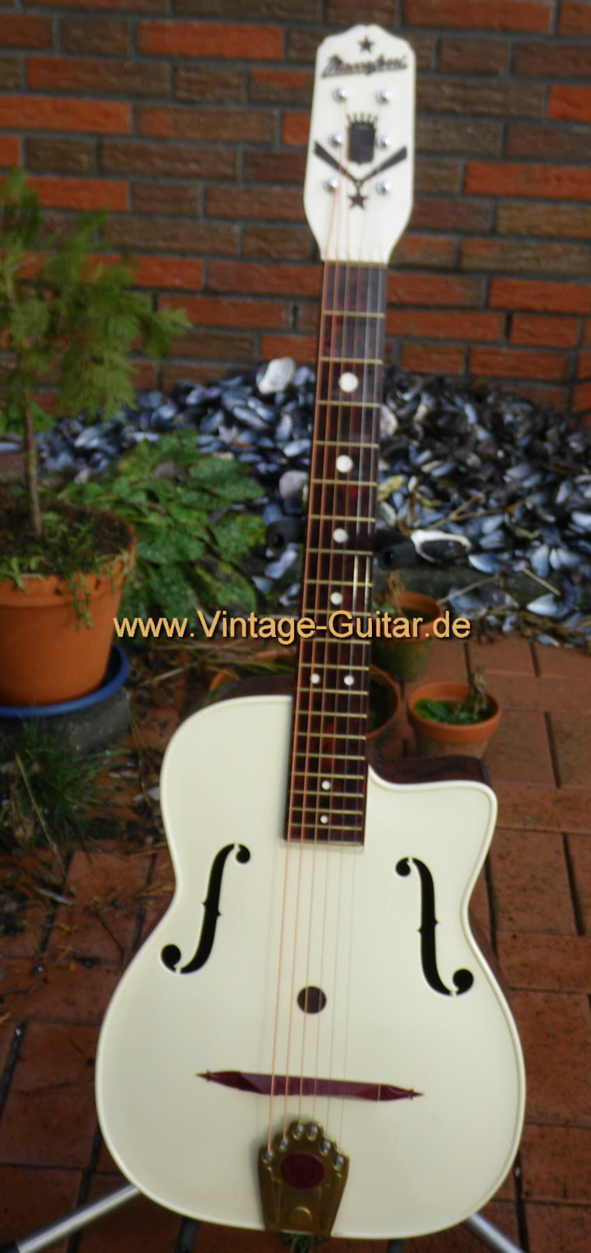 Maccaferri Deluxe Plastic Guitar a.jpg